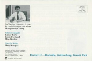 District 17 slate mailer